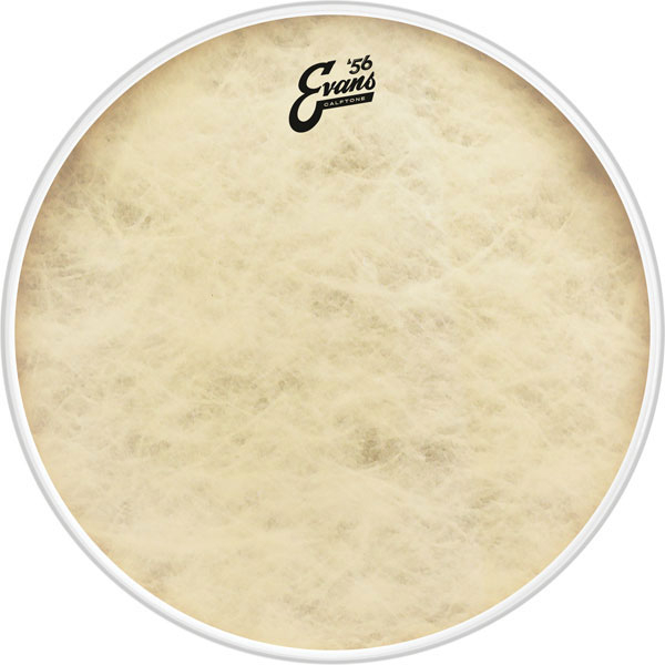 Bass Drum Fell Evans EQ4 Calftone 22