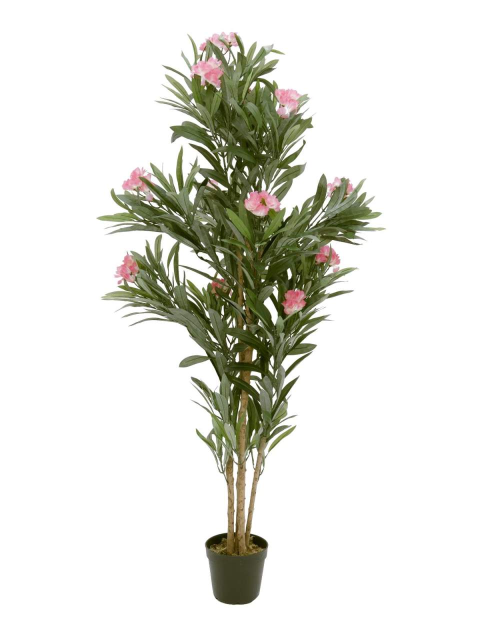 EUROPALMS Oleanderbaum- Kunstpflanze- rosa- 150 cm