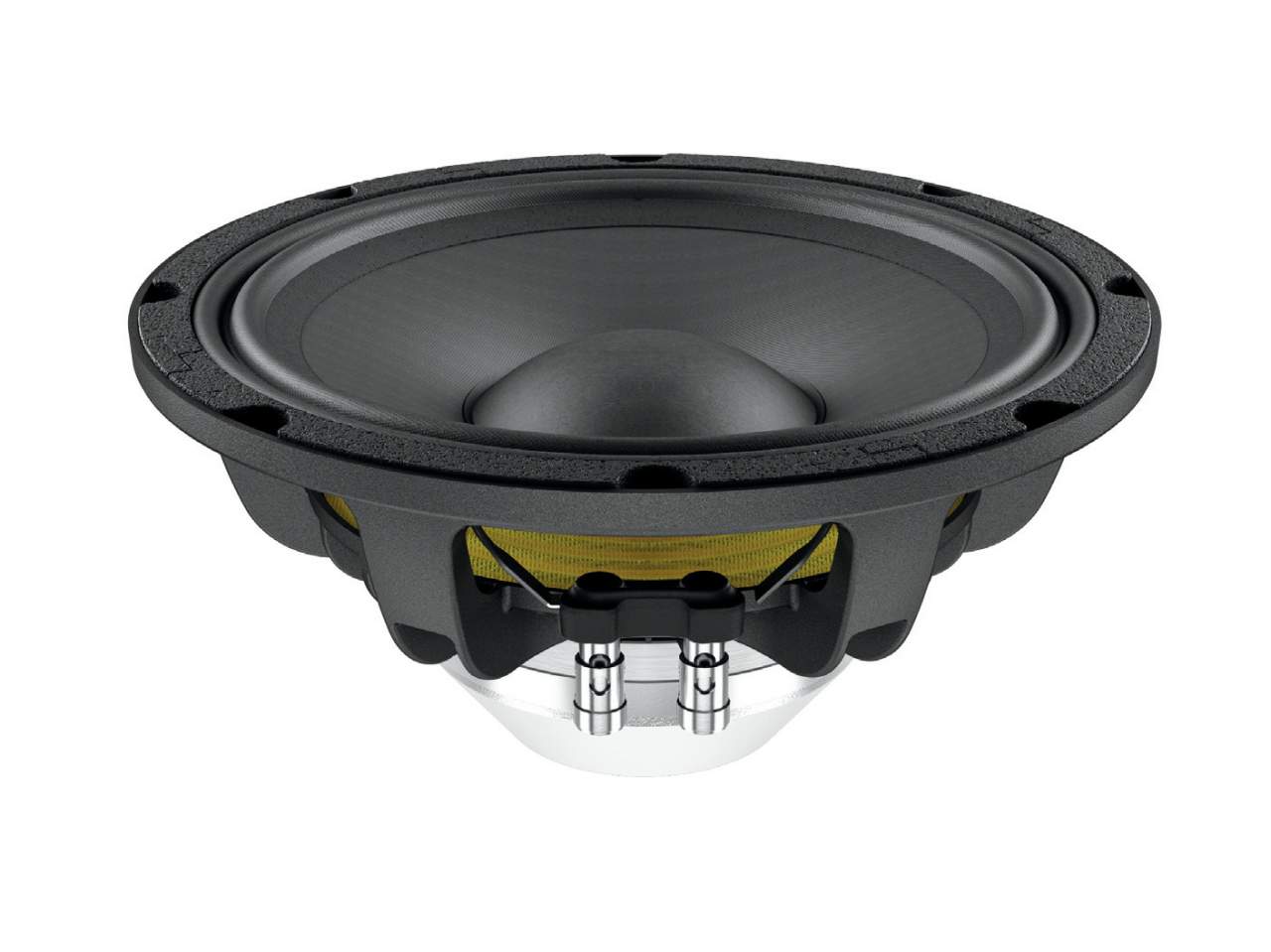 LAVOCE WAN102-50LD 10 Woofer- Neodym- Alukorb